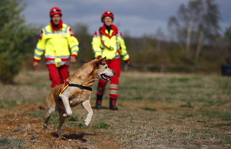 Rettungshundestaffel.jpg